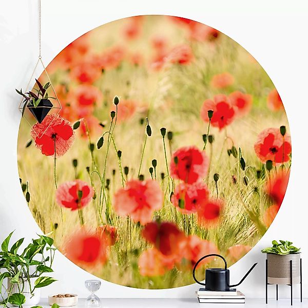 Runde Fototapete Summer Poppies günstig online kaufen