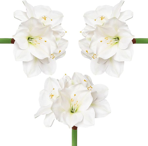 Winterliche Kunstpflanze Weihnachtsdeko Amaryllis, Creativ deco, Höhe 56 cm günstig online kaufen