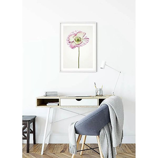 KOMAR Wandbild - Poppy  - Größe: 50 x 70 cm mehrfarbig Gr. one size günstig online kaufen
