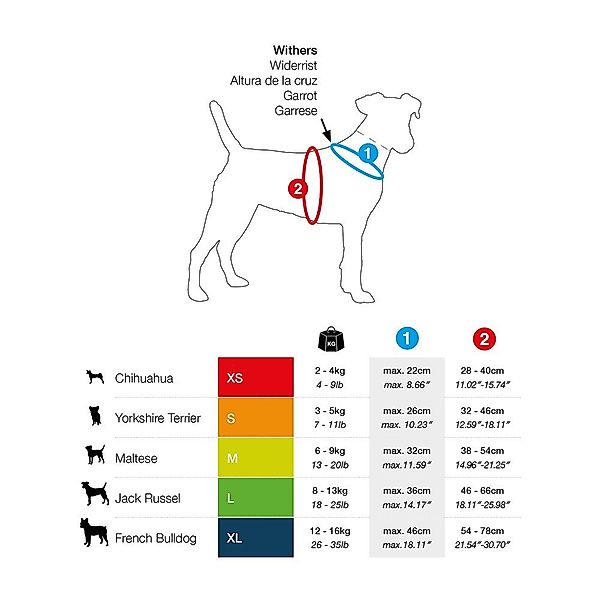 Curli Hunde-Geschirr Basic Geschirr Air-Mesh skyblue günstig online kaufen