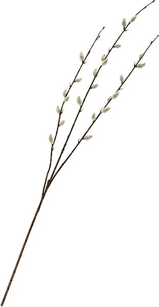 Kunstzweig Weidenkätzchen-Zweig 'Cream', DPI, 77cm günstig online kaufen