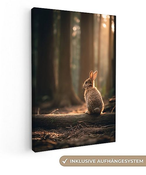 OneMillionCanvasses® Leinwandbild Kaninchen - Wald - Sonnenstrahlen, Fotodr günstig online kaufen
