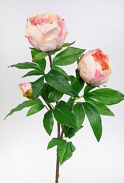 Kunstblume Pfingstrose Nature 68cm GA Seidenblumen günstig online kaufen