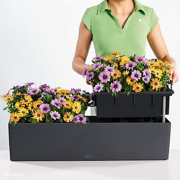Lechuza® Balkonkasten Balconera Color 80 sandbraun günstig online kaufen