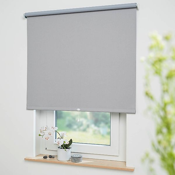 Springrollo Uni, Liedeco, verdunkelnd, freihängend, verschraubt, günstig online kaufen