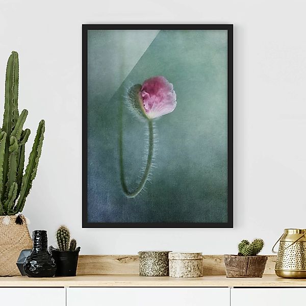 Bild mit Rahmen Blumen - Hochformat Blüte in Rosa günstig online kaufen