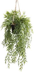 Botanic-Haus Künstliche Zimmerpflanze "Bambus-Hängeampel" günstig online kaufen