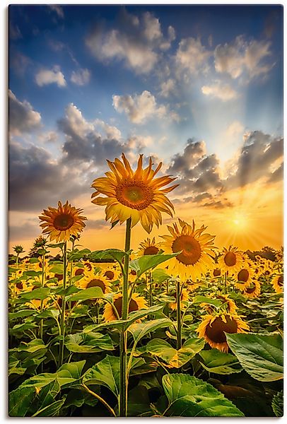Artland Wandbild »Sonnenblumen im Sonnenuntergang« Blumenbilder 1 Stk. tlg. günstig online kaufen