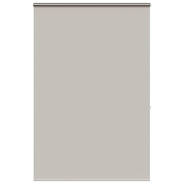 vidaXL Duschrollo, Duschrollo mit Kassette 150x240 günstig online kaufen