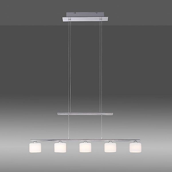 Paul Neuhaus Pendelleuchte »HYDRA«, 5 flammig, Leuchtmittel LED-Board   LED günstig online kaufen