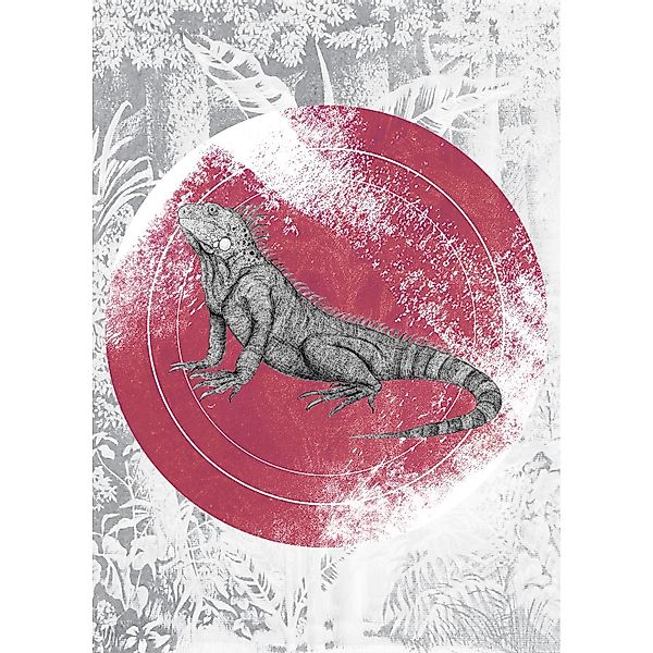 Komar Bild "Iguana Circle" Tiere 1 Stk. tlg. Wandbild zur Dekoration - ohne günstig online kaufen