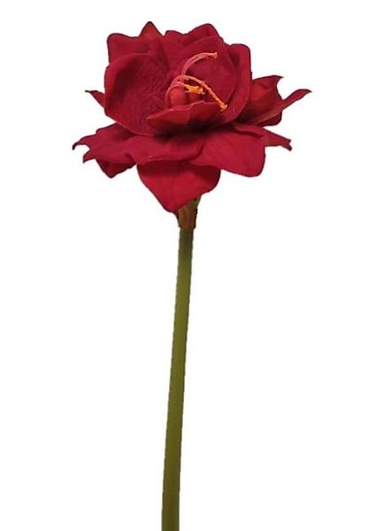 Kunstblume Amaryllis Ritterstern (Hippeastrum), 2474U, Höhe 75 cm, Stielblu günstig online kaufen