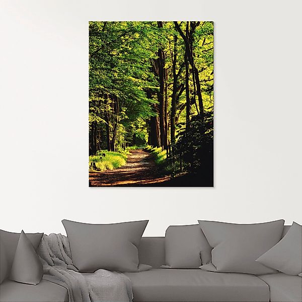 Artland Glasbild "Weg im Wald" Wald 1 Stk. tlg. in verschiedenen Größen günstig online kaufen