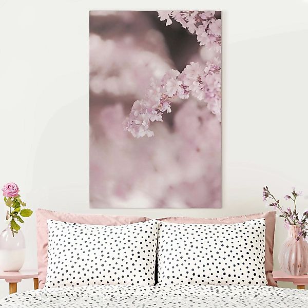 Leinwandbild Kirschblüte im Violetten Licht günstig online kaufen