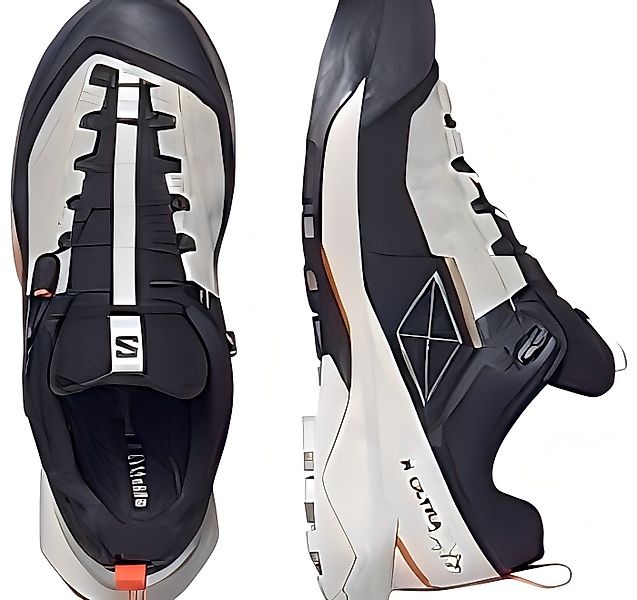 Salomon X ULTRA ALPINE GTX W Outdoorschuh günstig online kaufen