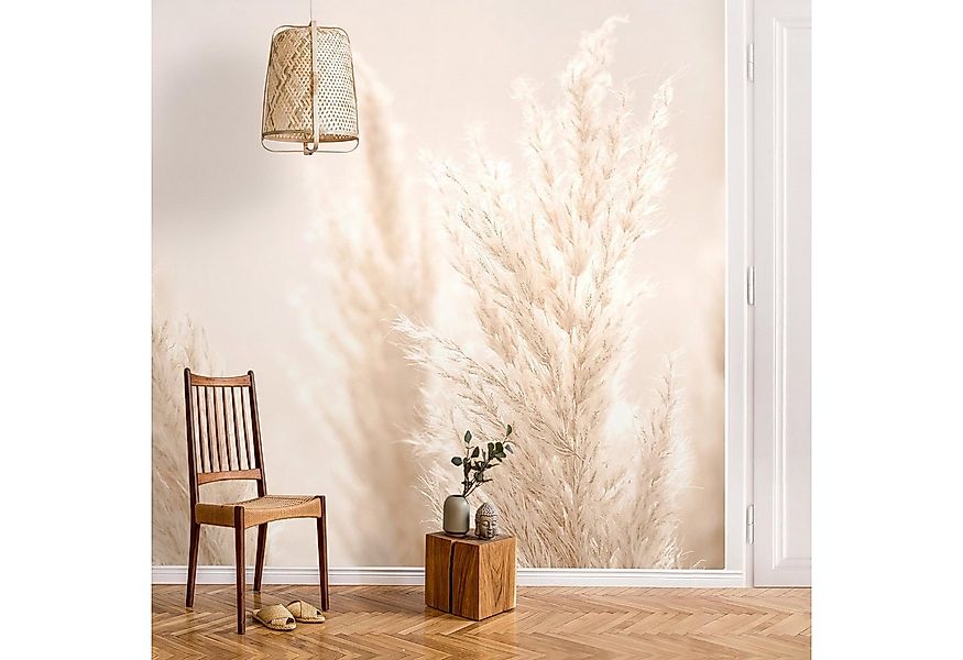 Bilderdepot24 Fototapete Blumen Pampasgras Sonnenlicht Blumentapete Floral günstig online kaufen