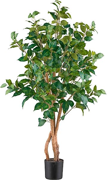 Kunstpflanze Ficus benjamina Grünpflanze, Creativ green, günstig online kaufen