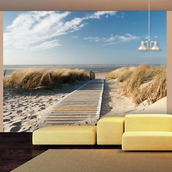 artgeist Fototapete Langeoog - Strand an der Nordsee mehrfarbig Gr. 400 x 3 günstig online kaufen