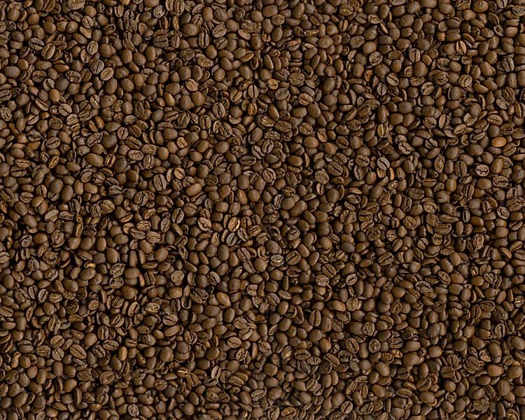 Fototapete "Kaffeebohnen" 4,00x2,50 m / Glattvlies Perlmutt günstig online kaufen