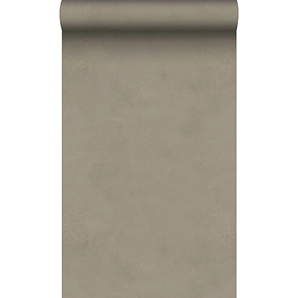Origin Wallcoverings Tapete Lehmputz Taupe 50 x 900 cm günstig online kaufen