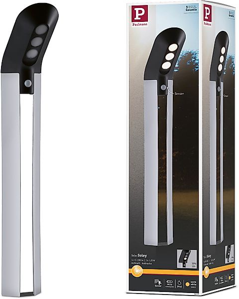 Paulmann LED Pollerleuchte "Soley" LED-Modul 1 Stk. Warmweiß LED-Modul günstig online kaufen