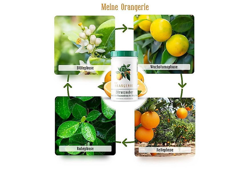 Meine Orangerie Spezialdünger Premium Pflanzendünger für alle Zitruspflanze günstig online kaufen