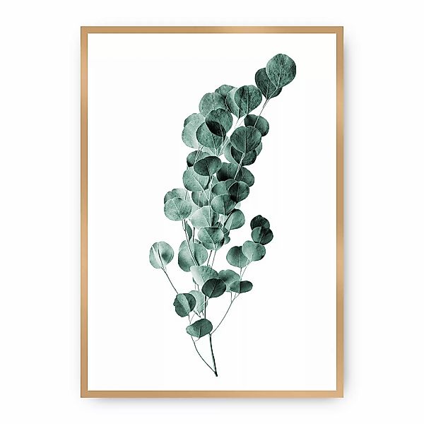 Poster Eucalyptus Emerald Green, 30 x 40 cm, Rahmen wählen: gold günstig online kaufen