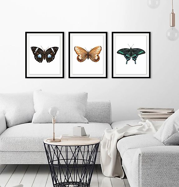 queence Bild »Lexy«, Schmetterlinge-Kunst-Insekten, (1 St.), HD Premium Pos günstig online kaufen