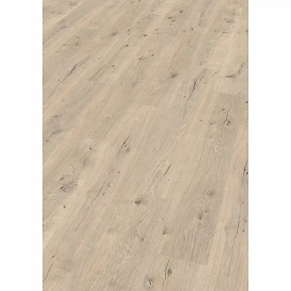 Egger Classic Laminat 8 mm Eiche Repino günstig online kaufen