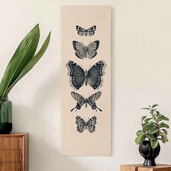 Leinwandbild auf Naturcanvas Tusche Schmetterlinge auf Beige günstig online kaufen