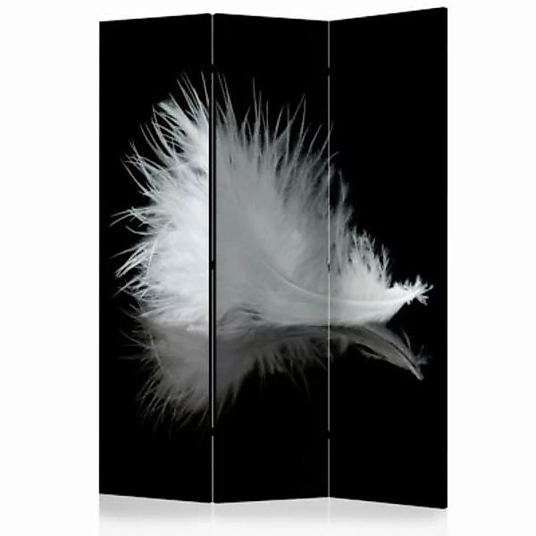 artgeist Paravent White feather [Room Dividers] schwarz/weiß Gr. 135 x 172 günstig online kaufen