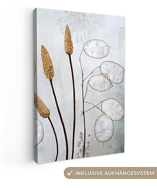 OneMillionCanvasses® Leinwandbild Stilleben - Trockenblumen - Natur, Fotodr günstig online kaufen