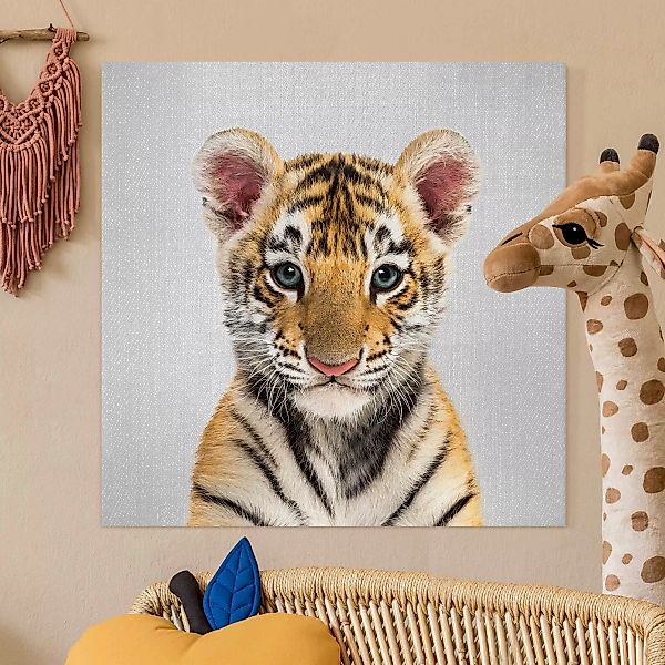 Leinwandbild Baby Tiger Thor günstig online kaufen