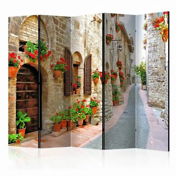 artgeist Paravent Italian province II [Room Dividers] mehrfarbig Gr. 225 x günstig online kaufen