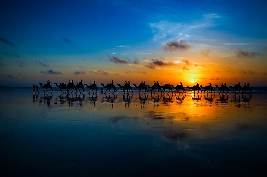 Papermoon Fototapete "Photo-Art LOUISE WOLBERS, SUNSET CAMEL RIDE" günstig online kaufen
