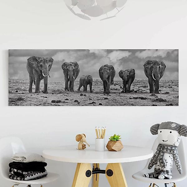 Leinwandbild Elefant - Panorama Großfamilie günstig online kaufen