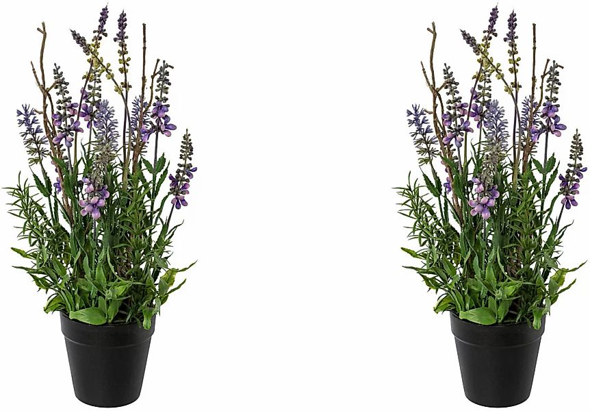 Creativ green Kunstblume "Lavendel im Topf" günstig online kaufen