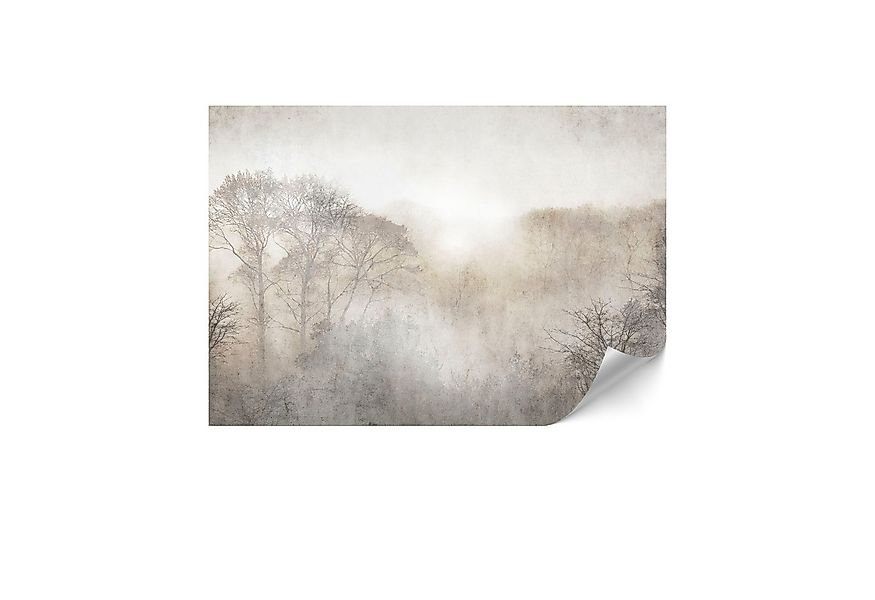 LUMASOUL Fototapete 100x70 cm - Vliestapete Shabby Chic - Beige, Shabby Chi günstig online kaufen