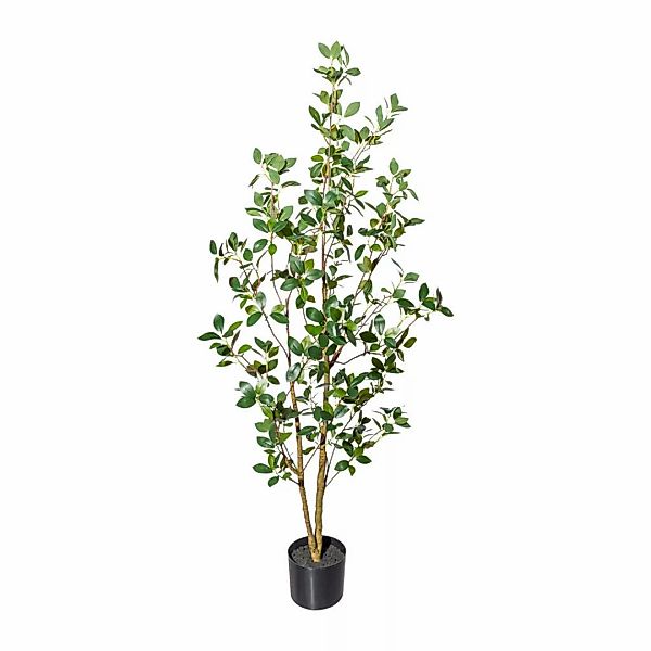 Kunstpflanze Ficus ginseng grün Kunststoff B/H/L: ca. 20x120x20 cm günstig online kaufen