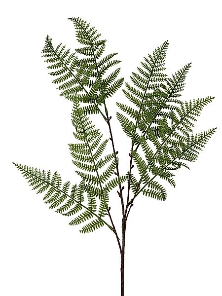 Kunstblume Frühlingszeit, formano, Höhe 76 cm günstig online kaufen