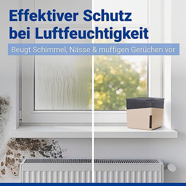 WENKO Luftentfeuchter Modell Cube, für 80 günstig online kaufen