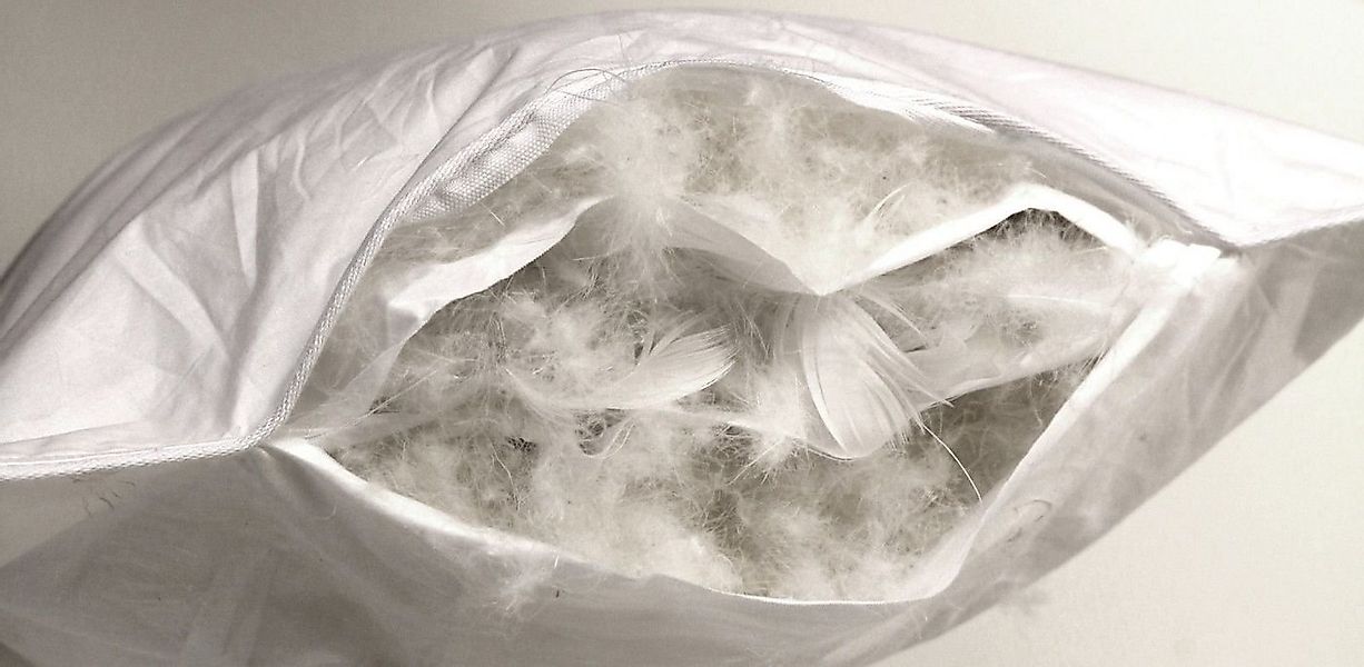 Betten Hofmann 3-Kammer-Kopfkissen Betten Hofmann Luxus 3-Kammer-Kopfkissen günstig online kaufen