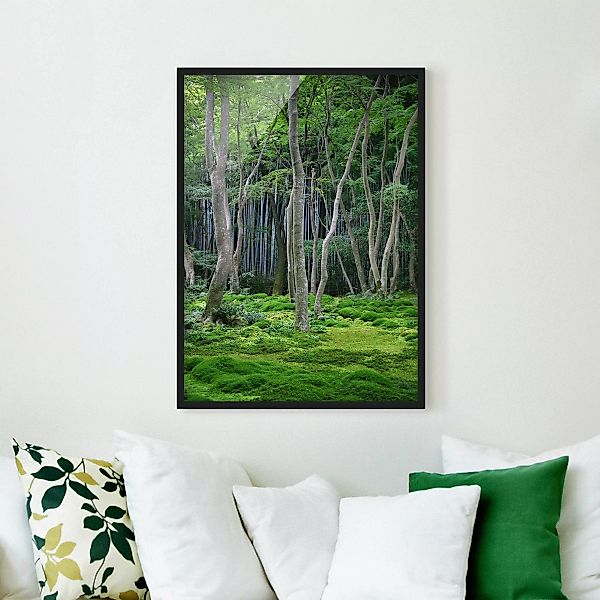 Bild mit Rahmen Natur & Landschaft - Hochformat Japanischer Wald günstig online kaufen