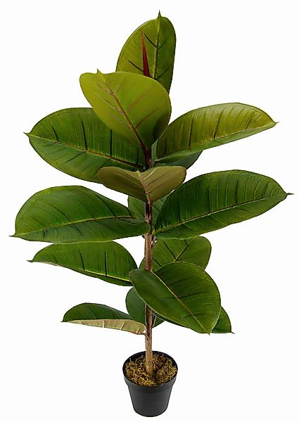 I.GE.A. Künstliche Zimmerpflanze »Gummibaum« günstig online kaufen