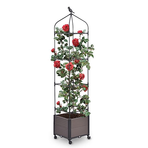 Gartenwelt Riegelsberger Blumenkasten mit Rankhilfe 42x42xH200 günstig online kaufen