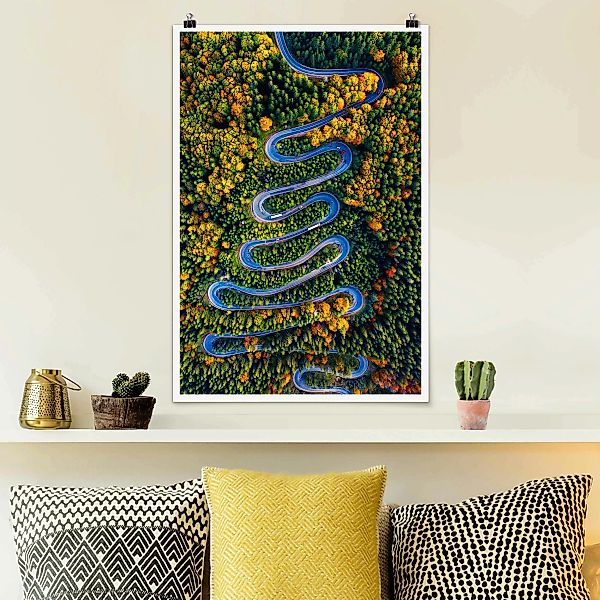 Poster Serpentine im Transsilvanischen Wald günstig online kaufen