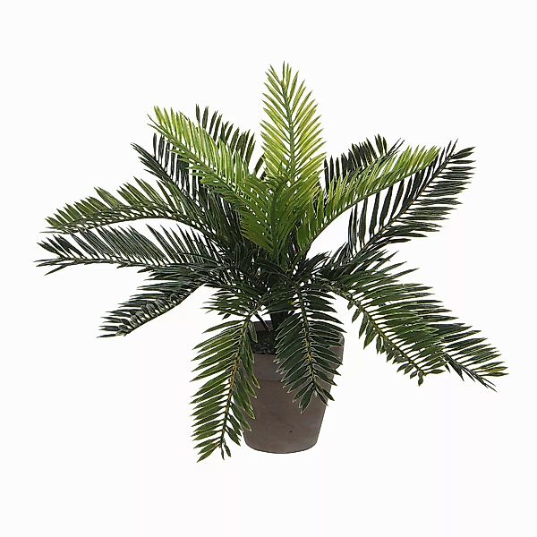 Kunstpflanze Mica Cycas Palme grün im günstig online kaufen