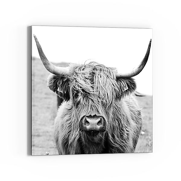 DEQORI Magnettafel 'Zotteliges Hochlandrind', Whiteboard Pinnwand günstig online kaufen
