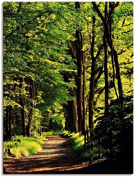 Artland Wandbild "Weg im Wald" Wald 1 Stk. tlg. als Alubild, Outdoorbild, L günstig online kaufen