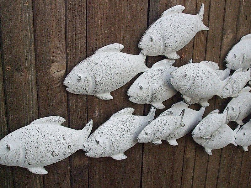 Deko-Impression Wanddekoobjekt Wunderschönes Wandobjekt, Fische, Wanddekora günstig online kaufen